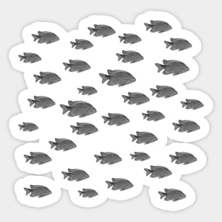 fishes Sticker